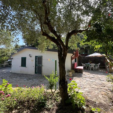 Casa Vacanze Alfano Ascea Exterior foto