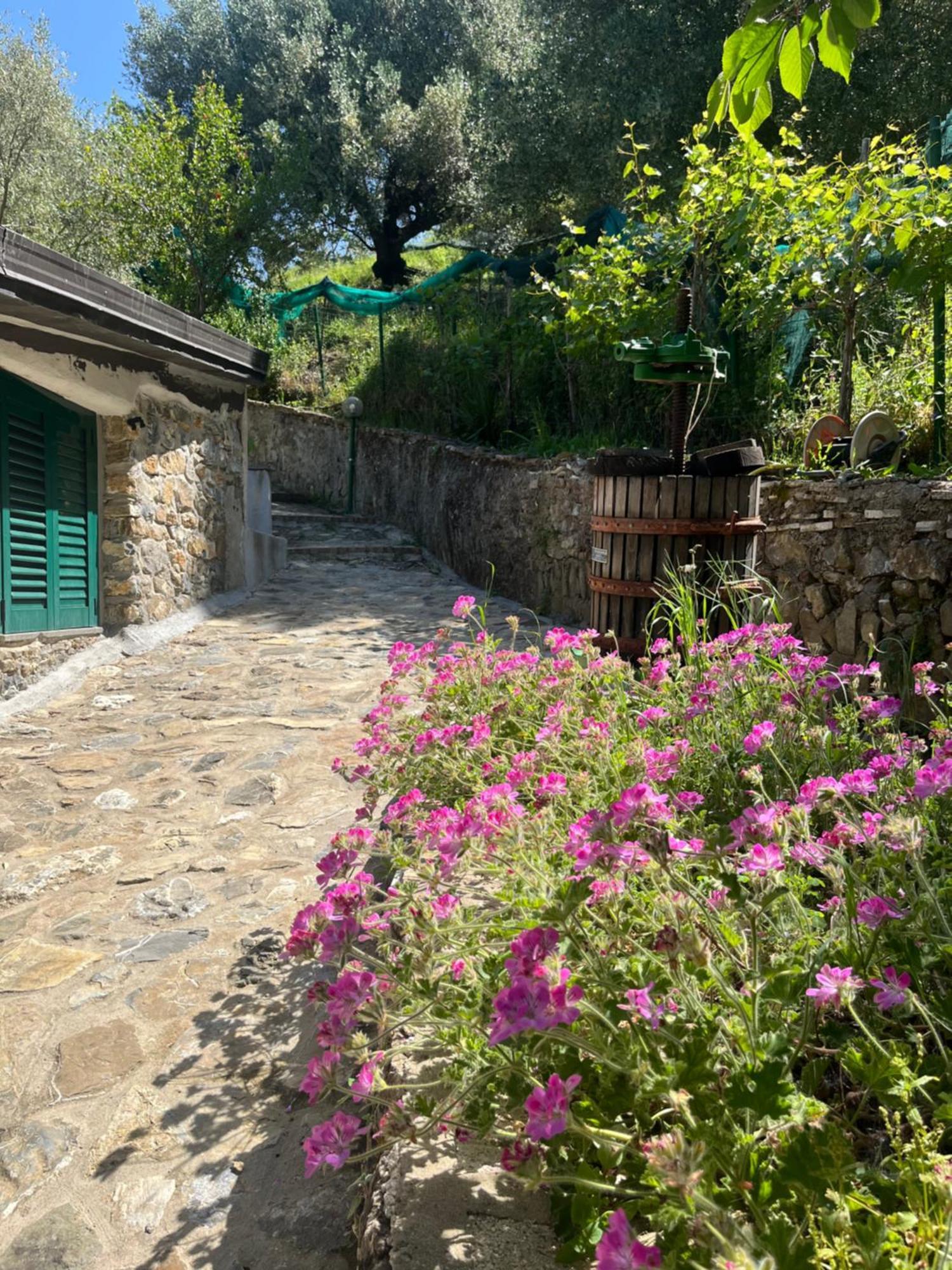Casa Vacanze Alfano Ascea Exterior foto