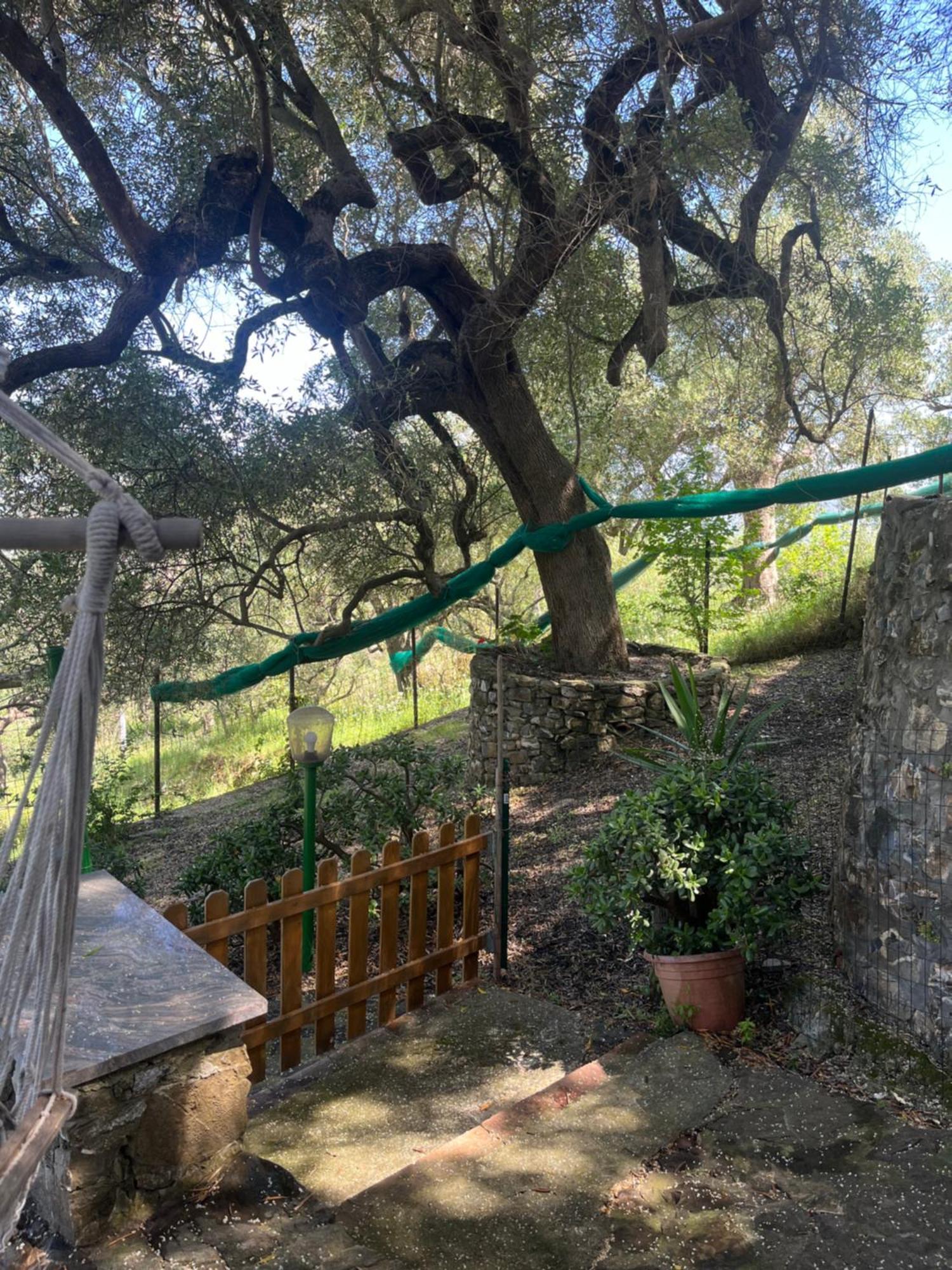 Casa Vacanze Alfano Ascea Exterior foto