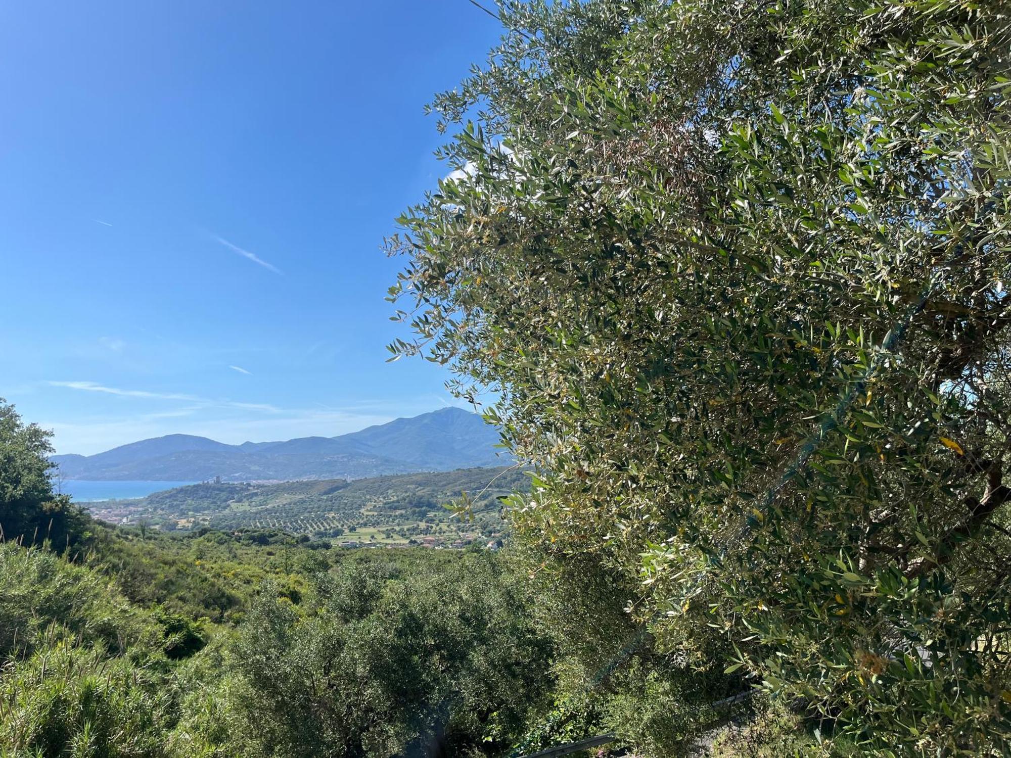 Casa Vacanze Alfano Ascea Exterior foto