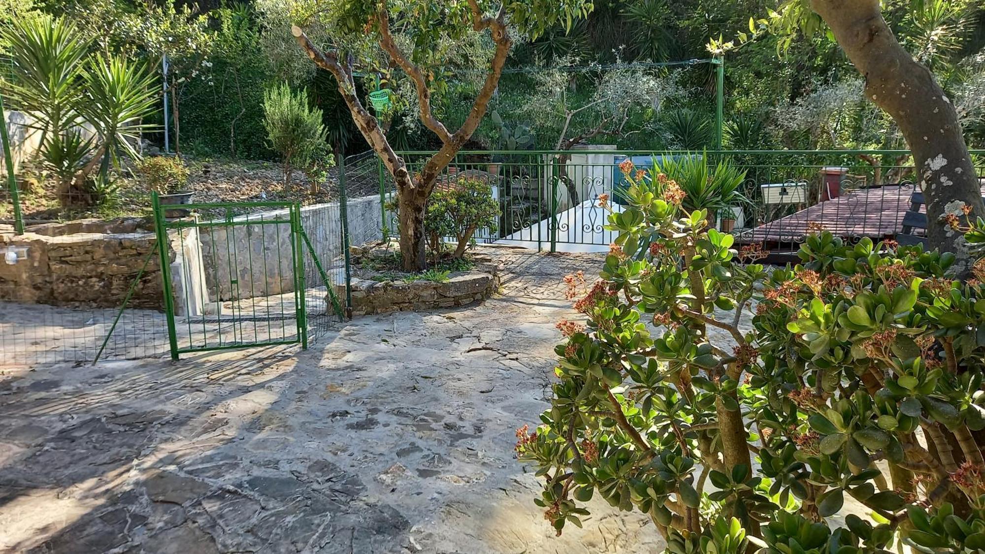 Casa Vacanze Alfano Ascea Cameră foto